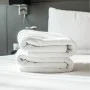 Avesis Serisi 20/2 Open-End İplik Otel Havlusu