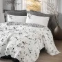 Cotton Box Dual Tek Kişilik Nevresim Takımı Elaria Antrasit