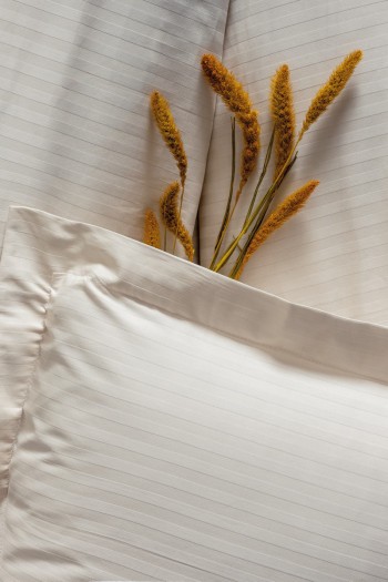 Cotton Box Elegant Stripe Çift Kişilik Nevresim Takımı Saten Ekru