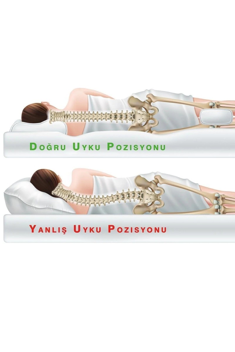 Varol Promed Ortopedik Boyun Yastığı detay görseli