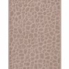 Varol Sirius Micro Cotton El Havlusu 80x150cm